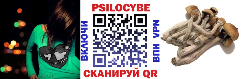 Псилоцибиновые грибы GOLDEN TEACHER  мега ТОР  Пущино  купить наркотики цена 